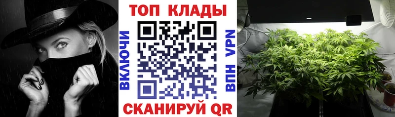 Где купить наркоту Петушки МАРИХУАНА Alpha PVP Амфетамин Гашиш