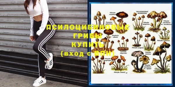 соль курить ск Арсеньев