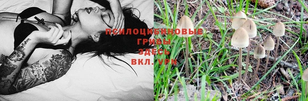 соль курить ск Арсеньев