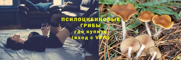 стаф Армянск