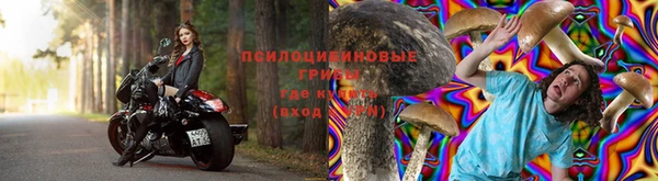 прущие крисы Снежногорск