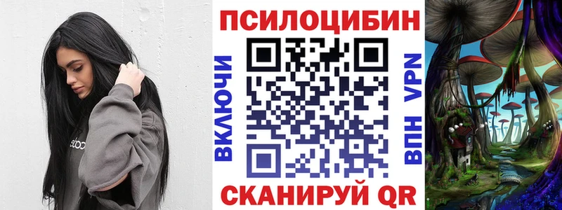 Псилоцибиновые грибы Cubensis хочу наркоту Петушки